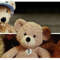 peluche-steiff-teddy-bear (Demo)